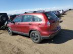 HONDA CR-V LX photo