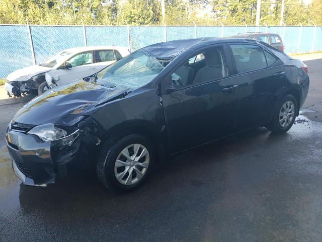 Vin: 2t1burhe3gc542016, lot: 72773904, toyota corolla l 2016 img_1