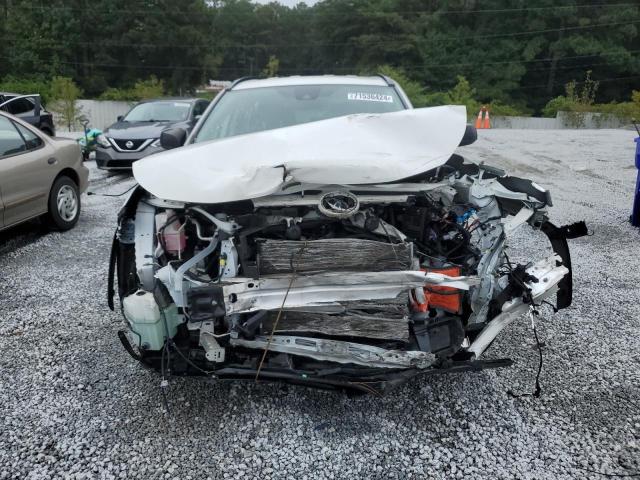 2019 TOYOTA RAV4 LE - JTMH1RFV7KJ010867