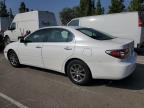 LEXUS ES 300 photo