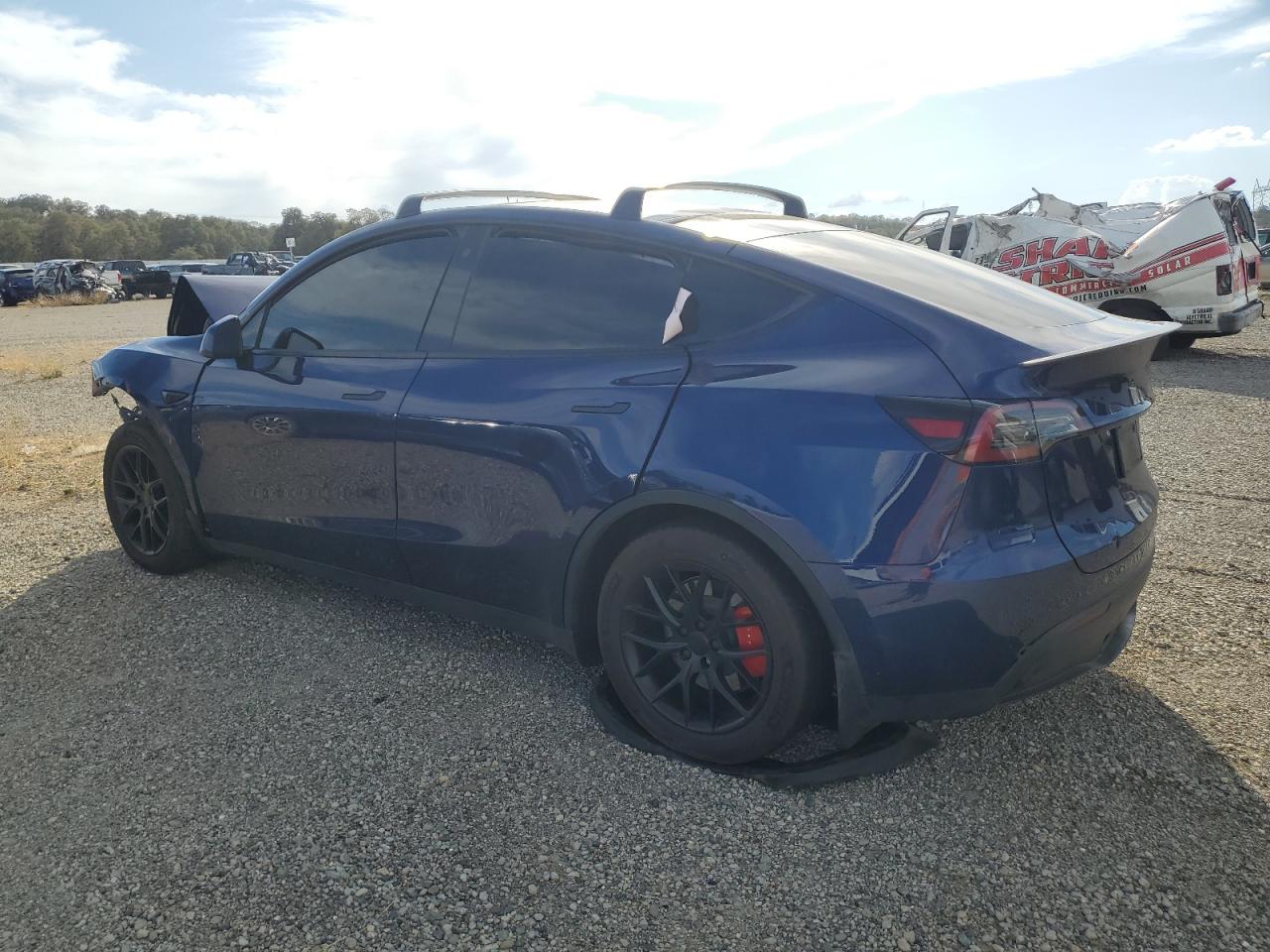 Lot #2969637362 2023 TESLA MODEL Y