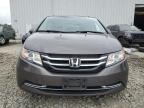 HONDA ODYSSEY EX photo