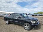 Lot #3025082301 2011 DODGE DAKOTA SLT