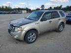 FORD ESCAPE XLT снимка