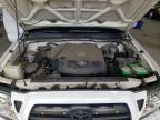 TOYOTA TACOMA DOU photo