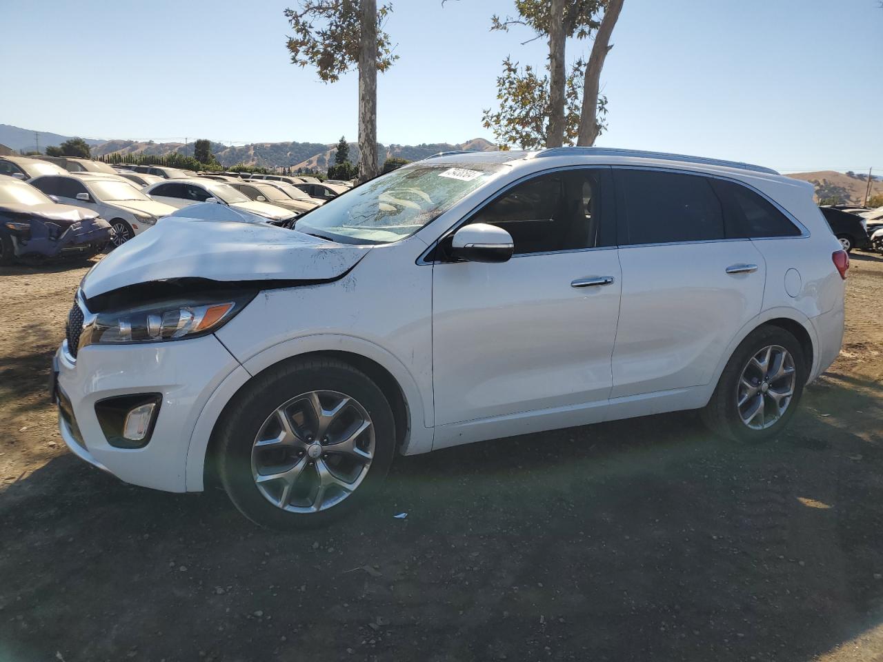 KIA Sorento 2016 wagon body Type