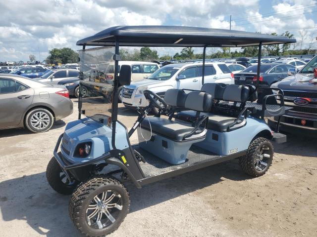 ASPT GOLF CART 2020 gray   FLA110873 photo #3