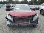 HONDA ACCORD CRO photo