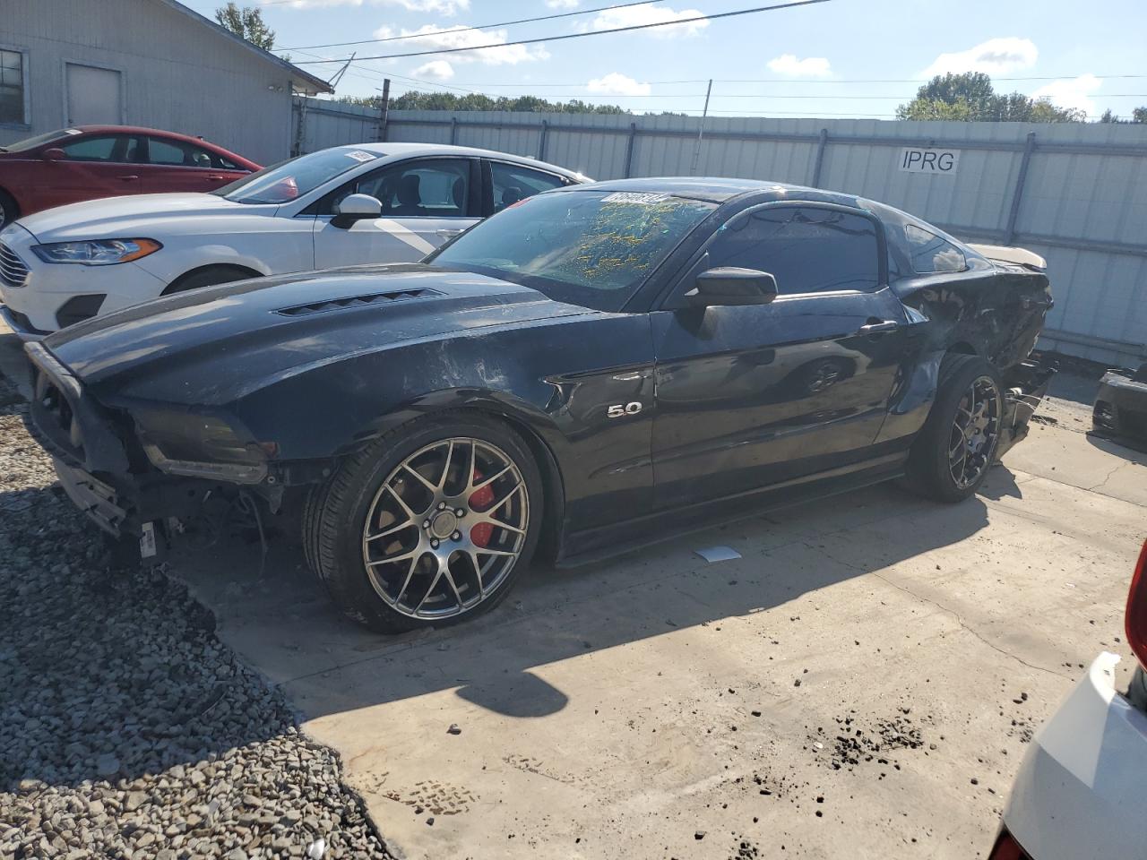 Lot #2940879488 2014 FORD MUSTANG GT