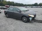 Lot #3024058694 2010 TOYOTA COROLLA BA