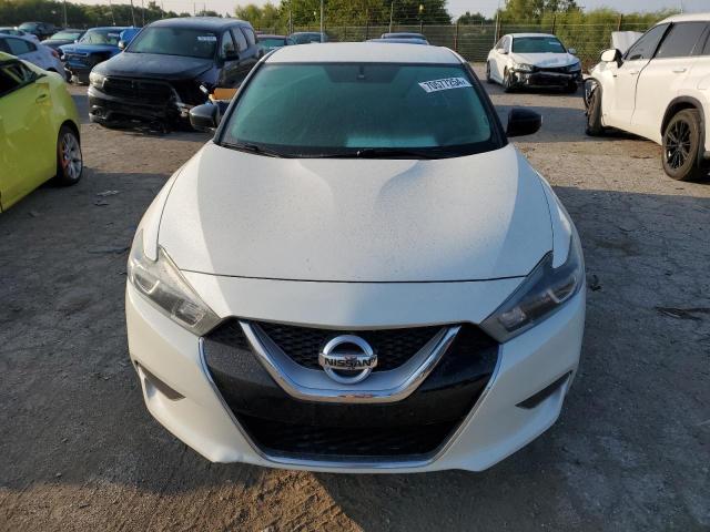 2016 NISSAN MAXIMA 3.5 - 1N4AA6AP7GC388746