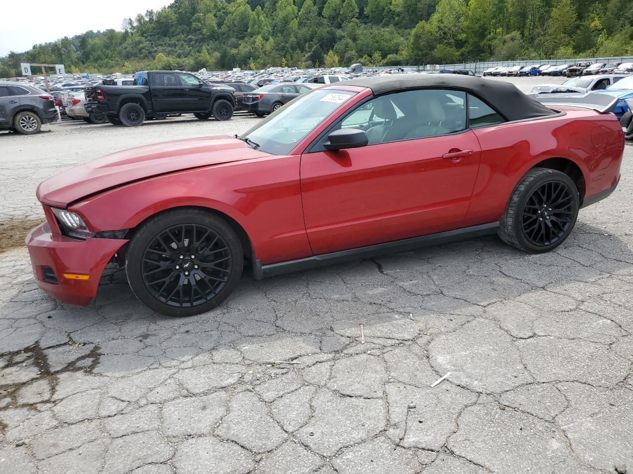 Ford Mustang 2010 Base