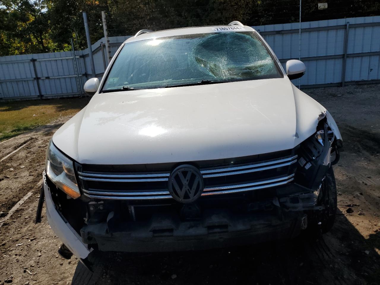 Lot #3020678956 2013 VOLKSWAGEN TIGUAN S