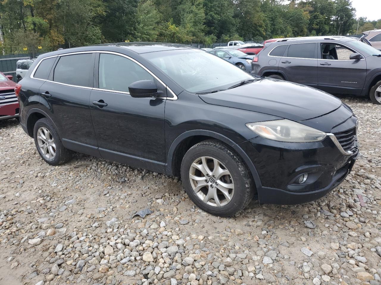 Lot #3014977006 2014 MAZDA CX-9 TOURI