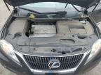 LEXUS RX 350 photo