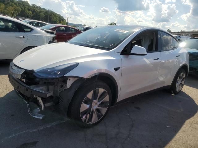 2023 TESLA MODEL Y - 7SAYGDEEXPF810843