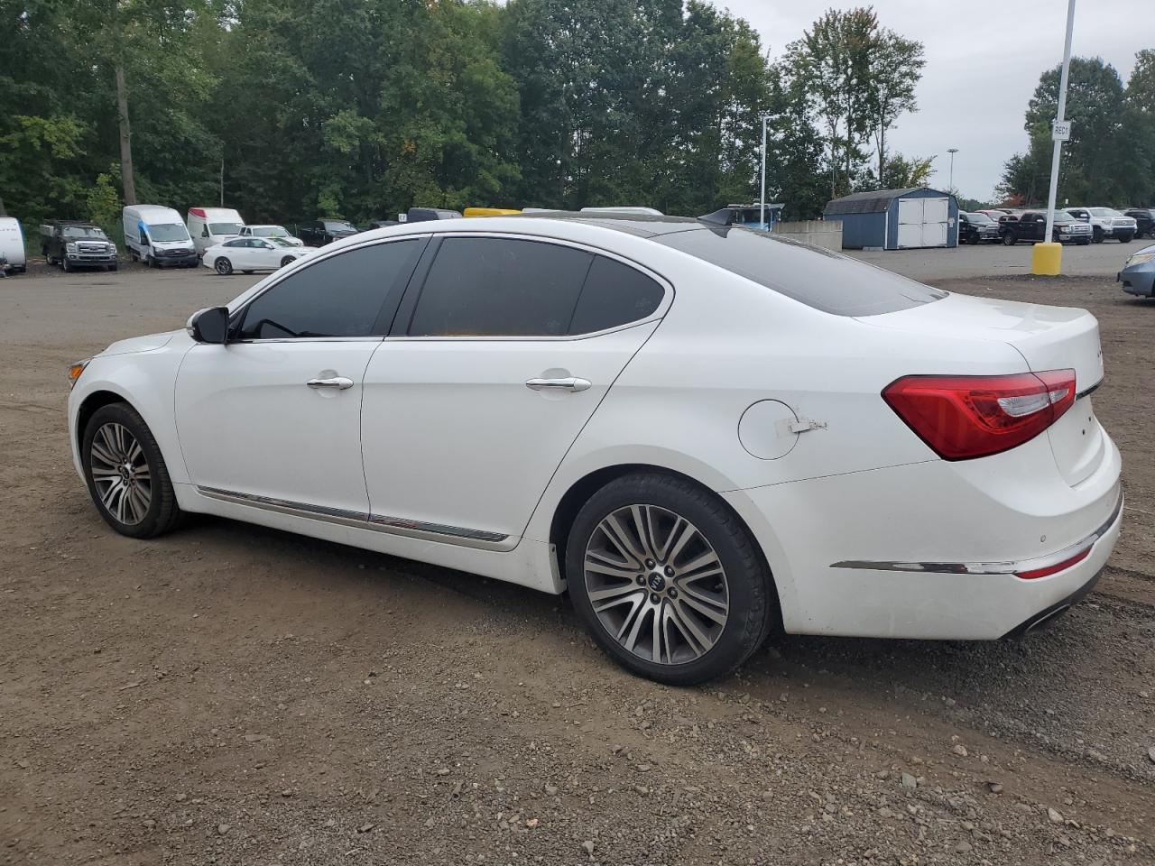 Lot #2857946245 2016 KIA CADENZA LU