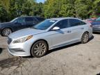 2017 HYUNDAI SONATA SPO - 5NPE34AF6HH592834