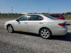 LEXUS ES 330 photo