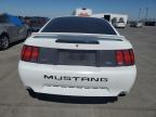 FORD MUSTANG GT photo