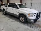 DODGE RAM 1500 photo