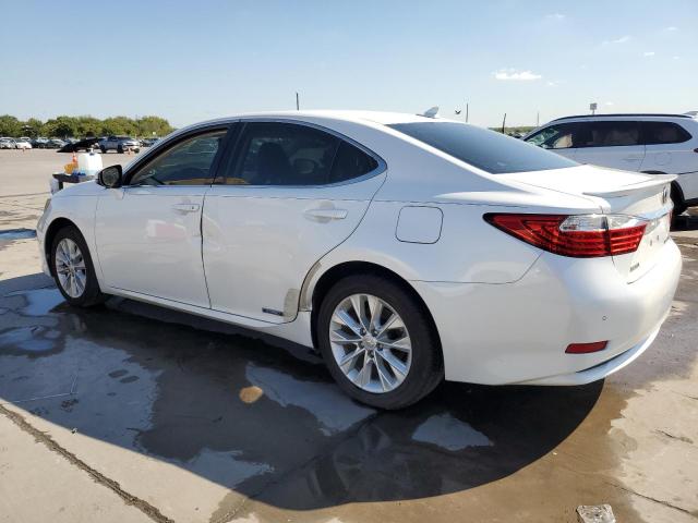 VIN JTHBW1GG7D2024532 2013 Lexus ES, 300H no.2