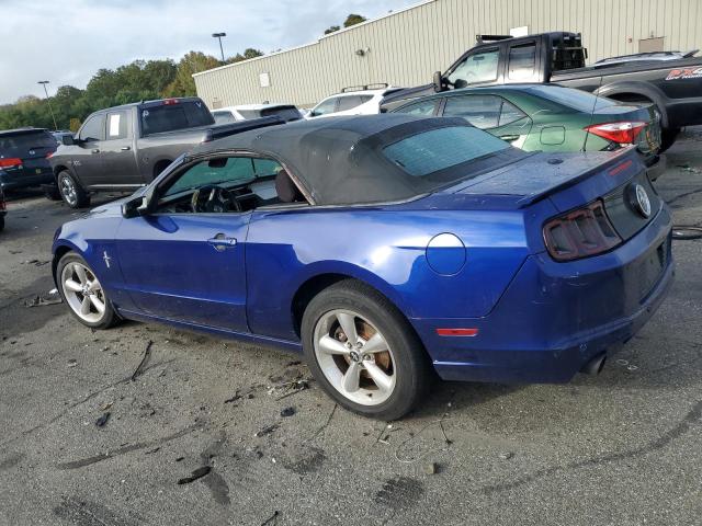 VIN 1ZVBP8EM8D5223035 2013 Ford Mustang no.2