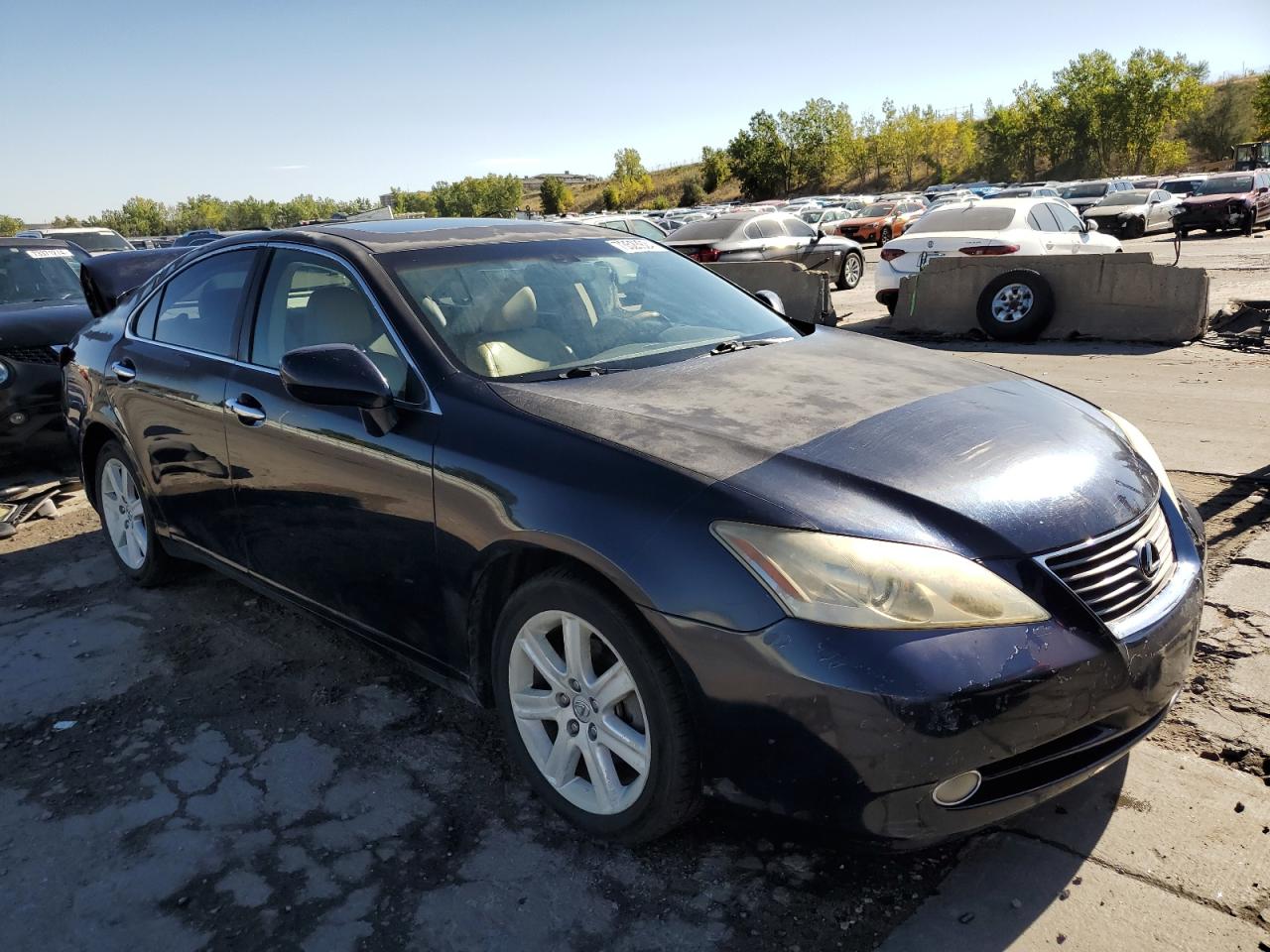 Lot #2910010055 2007 LEXUS ES 350