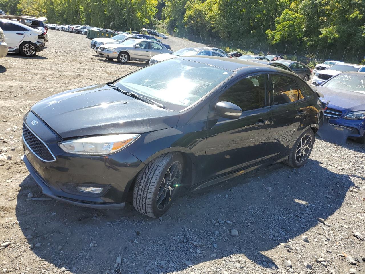 Lot #3033234814 2015 FORD FOCUS SE