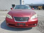 LEXUS ES 350 photo