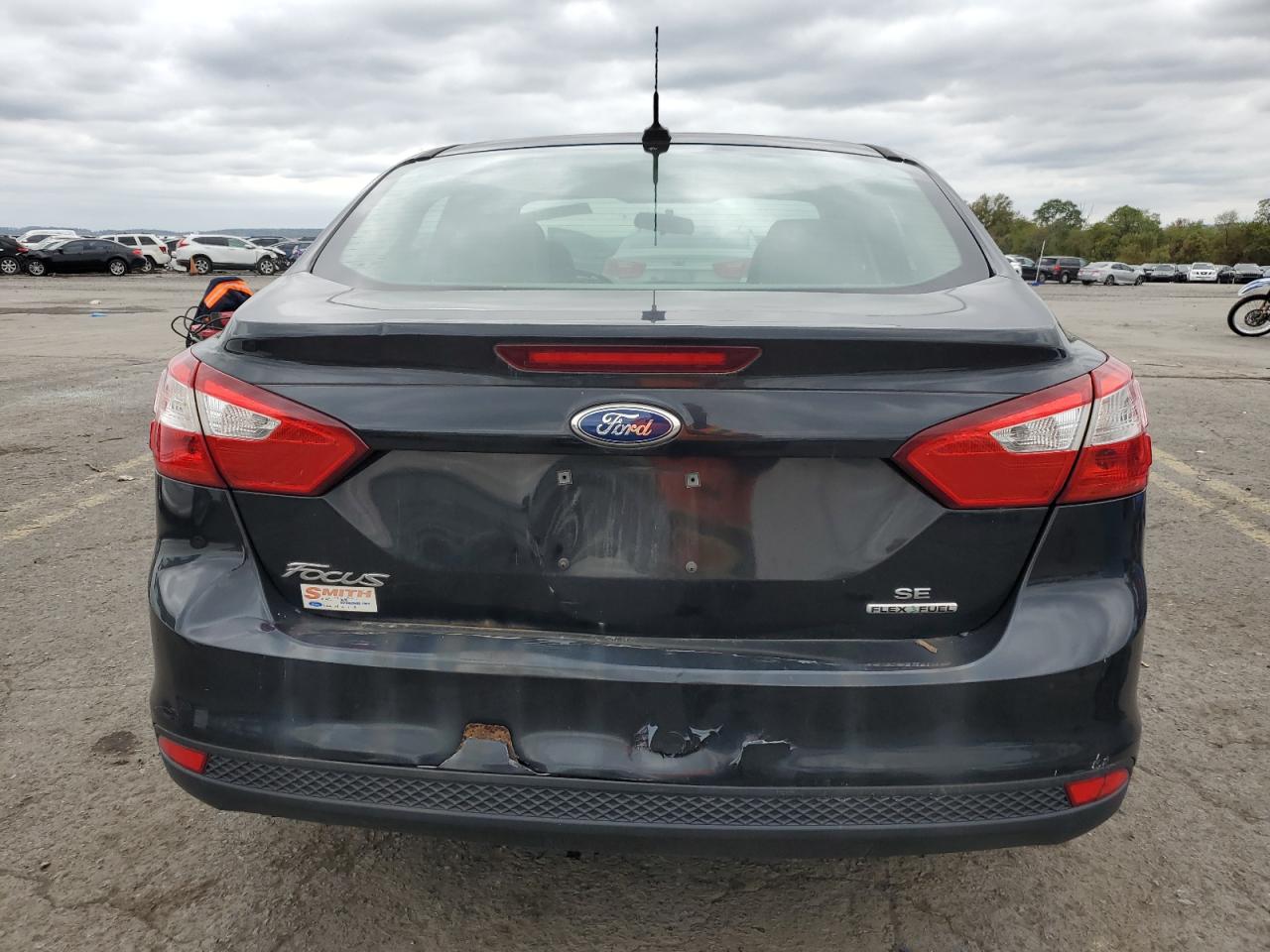 Lot #3023332236 2014 FORD FOCUS SE