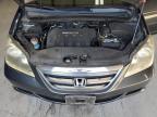 HONDA ODYSSEY LX photo