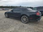 Lot #3023326270 2011 FORD MUSTANG