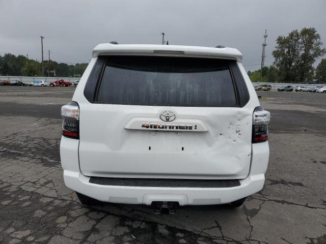 2023 TOYOTA 4RUNNER SE - JTENU5JR8P6169738