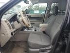 FORD ESCAPE HYB photo