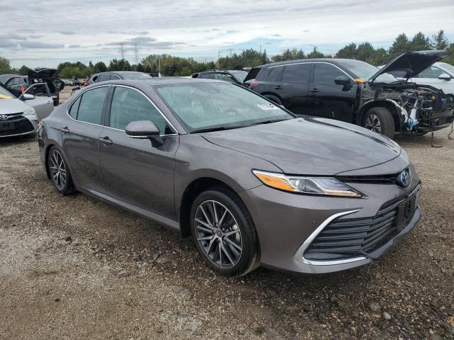 2024 TOYOTA CAMRY XLE - 4T1F31AK2RU627209