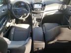 Lot #3009385548 2019 FORD ESCAPE SE