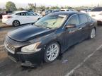 NISSAN MAXIMA S photo