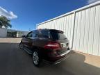 MERCEDES-BENZ ML 350 photo