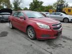 CHEVROLET MALIBU 1LT photo