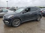 2017 HYUNDAI SANTA FE S - 5NMZUDLB7HH016014