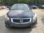 HONDA ACCORD LX photo