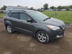 FORD ESCAPE SE photo