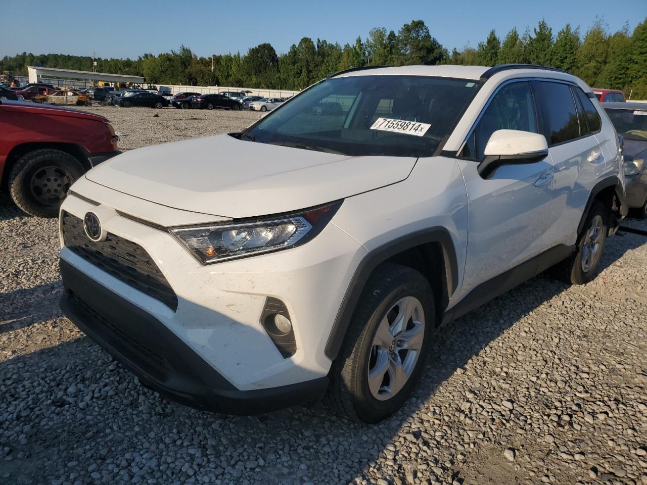 Lot #2969894931 2021 TOYOTA RAV4 XLE