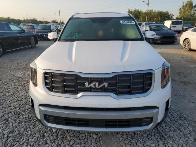2024 KIA TELLURIDE - 5XYP5DGC4RG507868