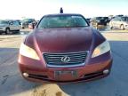 Lot #3024568645 2007 LEXUS ES 350