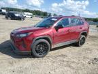 TOYOTA RAV4 LE photo