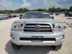 TOYOTA TACOMA DOU photo