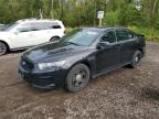 2017 FORD TAURUS POL - 1FAHP2MK5HG130600