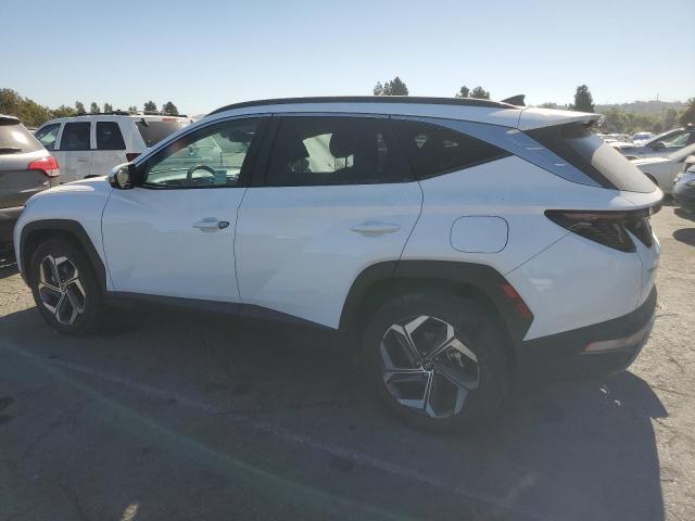 HYUNDAI TUCSON LIM 2023 white  hybrid engine KM8JECA1XPU095518 photo #3